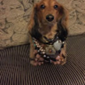 Meet your Posher, Edith